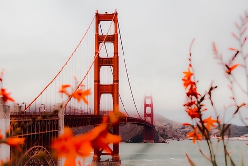 At Golden Gate bridge San Francisco California USA Mural by Timmy333