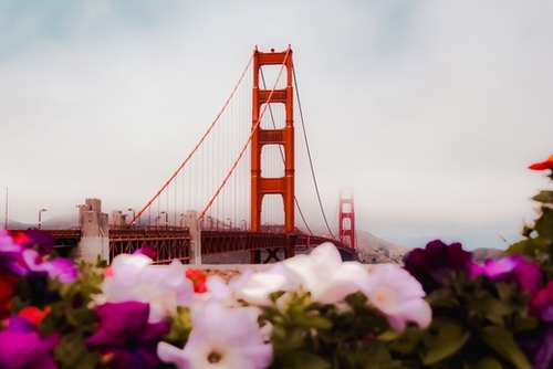At Golden Gate bridge San Francisco California USA with foggy sky Mural by Timmy333