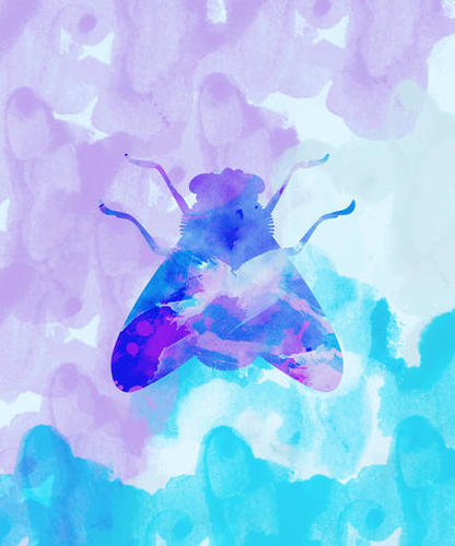 Abstract Fly Mural by Amir Faysal