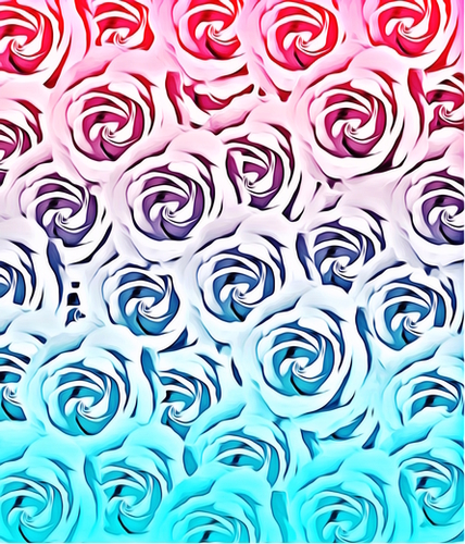 blooming rose pattern texture abstract background in pink and blue Mural by Timmy333