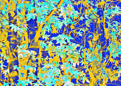green maple tree leaf with blue and yellow abstract background Mural by Timmy333