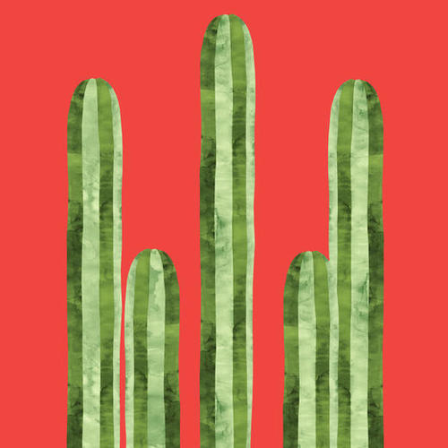 Mexican cacti Mural by Vitor Costa