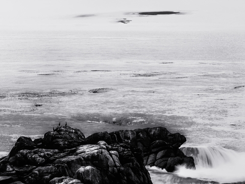 ocean sunset view in California USA in black and white Mural by Timmy333