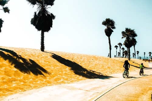 palm tree and sandy beach at Oxnard Beach, California, USA Mural by Timmy333