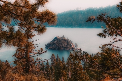 Pine tree and island at Emerald Bay Lake Tahoe California USA Mural by Timmy333