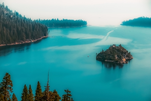 Pine tree and island at Emerald Bay Lake Tahoe California USA Mural by Timmy333
