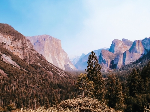 At Yosemite national park USA Mural by Timmy333