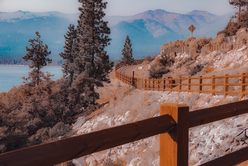 Walkway with pine tree and mountain background at Lake Tahoe Nevada USA Mural by Timmy333