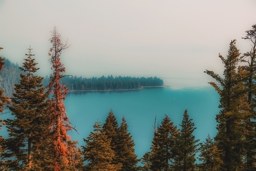 pine tree and lake at Emerald Bay Lake Tahoe California USA Mural by Timmy333