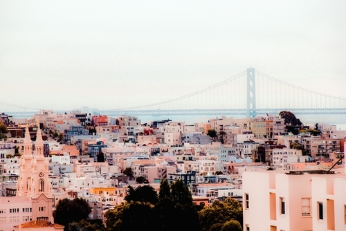 Buildings with bridge view at San Francisco California USA  Mural by Timmy333