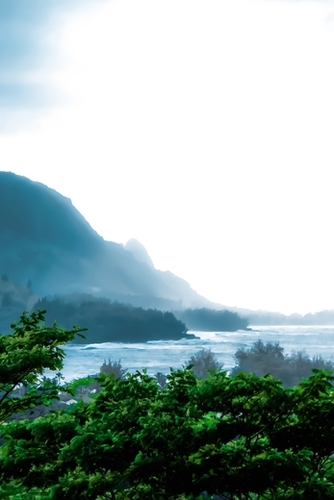 green tropical land with ocean front at Kauai, Hawaii, USA Mural by Timmy333