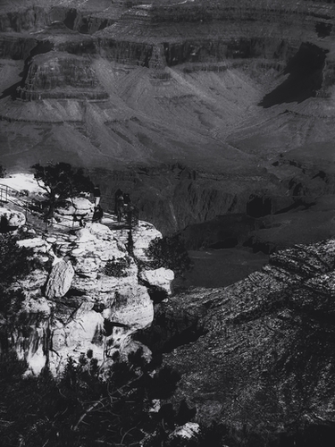 Desert scenic at Grand Canyon national park, Arizona, USA in black and white Mural by Timmy333