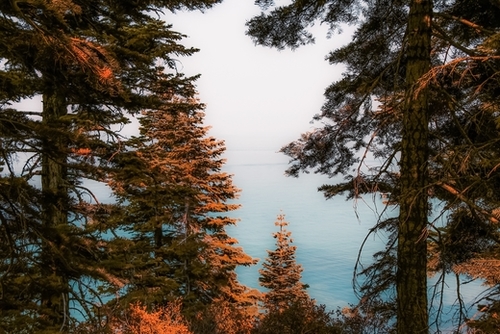Pine tree and lake view at Emerald Bay Lake Tahoe California USA Mural by Timmy333