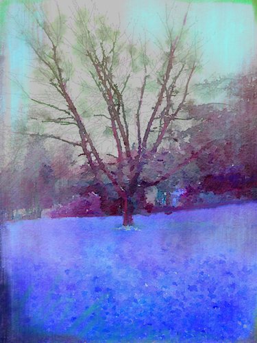 Cerisier en hiver Mural by Malixx