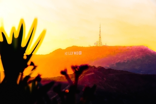 sunset sky at Hollywood Sign, Los Angeles, California, USA Mural by Timmy333