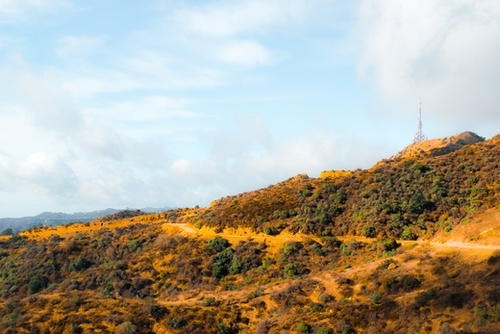 Hiking trail scenic to Hollywood Sign, Los Angeles, USA Mural by Timmy333