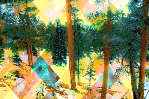 green pine tree with snow in winter with geometric pixel abstract pattern Mural by Timmy333