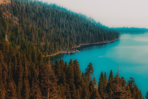 Pine tree and lake view at Emerald Bay Lake Tahoe California USA Mural by Timmy333