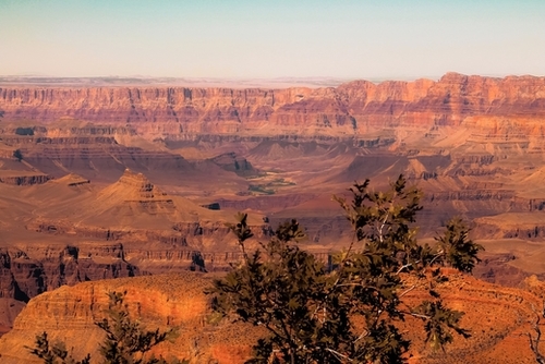 Desert in summer at Grand Canyon national park USA Mural by Timmy333