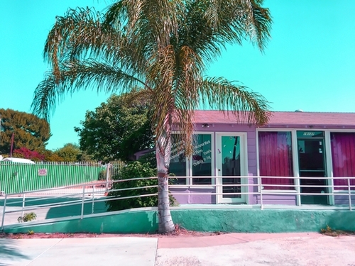 pink building in the city with palm tree and blue sky Mural by Timmy333