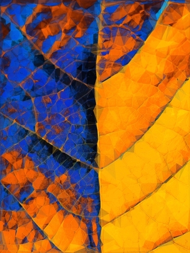 closeup leaf texture geometric triangle abstract pattern in blue orange yellow Mural by Timmy333