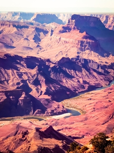closeup desert at Grand Canyon national park, USA Mural by Timmy333