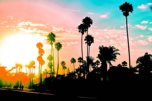 beach summer sunset with palm tree and blue sky Mural by Timmy333