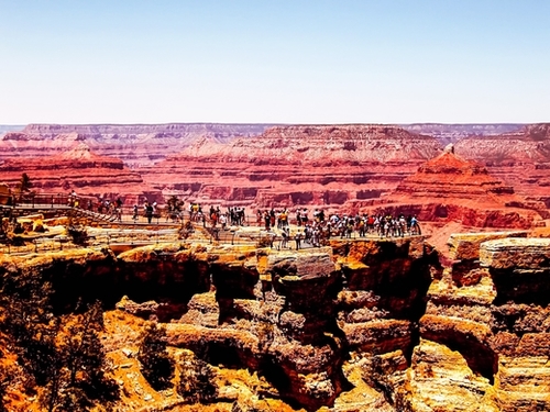 Desert in summer at Grand Canyon national park, USA Mural by Timmy333