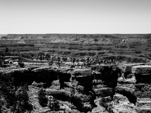 at Grand Canyon national park, USA in black and white Mural by Timmy333