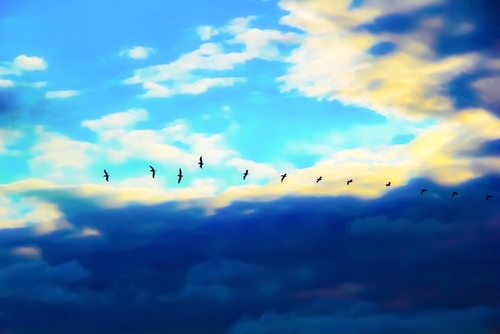 birds flying over with blue cloudy sky Mural by Timmy333
