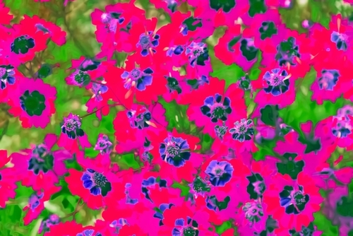 blooming pink flower with green leaf background Mural by Timmy333