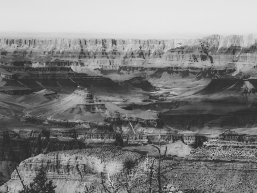 rocky mountain at Grand Canyon national park, USA in black and white Mural by Timmy333