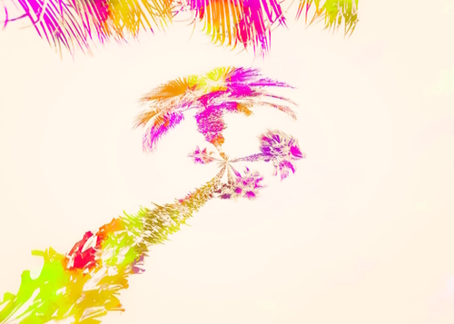 palm tree over the sky in pink purple green yellow Mural by Timmy333