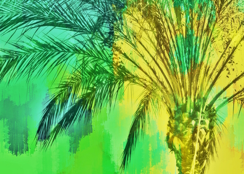isolate palm tree with painting abstract background in green yellow Mural by Timmy333