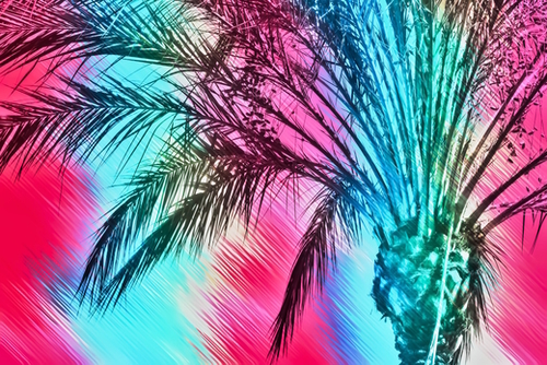 isolate palm tree with painting abstract background in pink and blue Mural by Timmy333