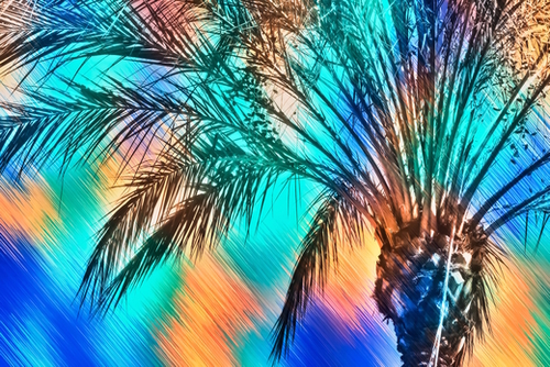 isolate palm tree with painting abstract background in green blue orange Mural by Timmy333