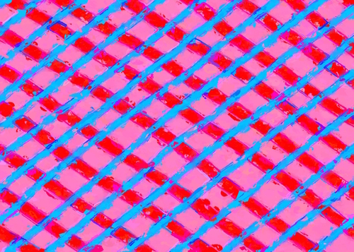 line pattern painting abstract background in pink red blue Mural by Timmy333