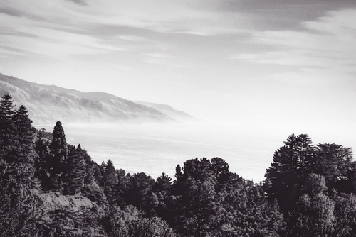 Beautiful ocean view with forest front view at Big Sur, California, USA in black and white Mural by Timmy333