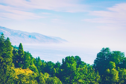 Beautiful ocean view with forest front view at Big Sur, California, USA Mural by Timmy333