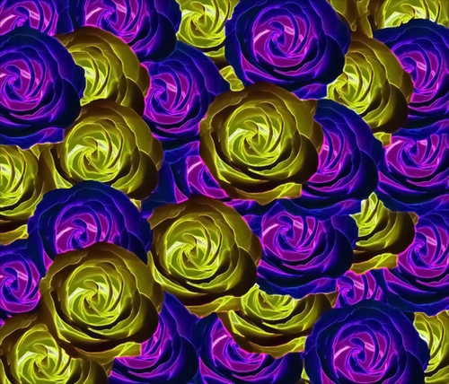 blooming rose texture pattern abstract background in pink purple yellow Mural by Timmy333