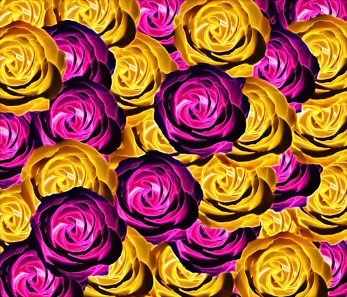blooming rose texture pattern abstract background in pink and yellow Mural by Timmy333