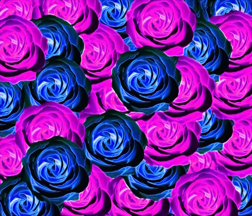 blooming rose texture pattern abstract background in pink and blue Mural by Timmy333