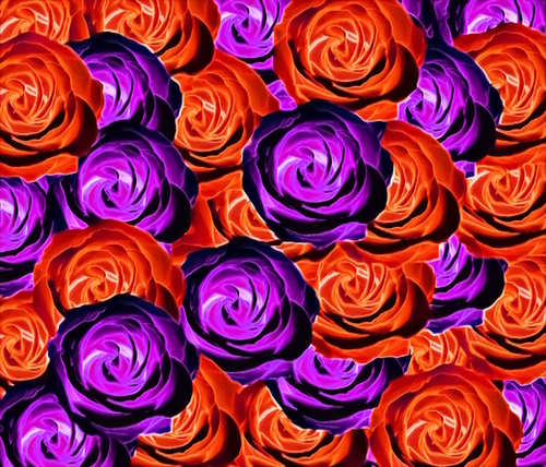 blooming rose texture pattern abstract background in red and purple Mural by Timmy333