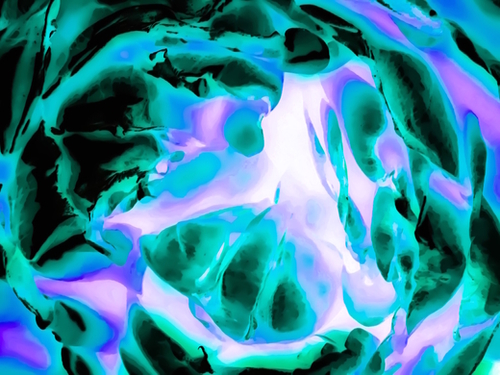 closeup rose texture abstract background in blue purple and green Mural by Timmy333