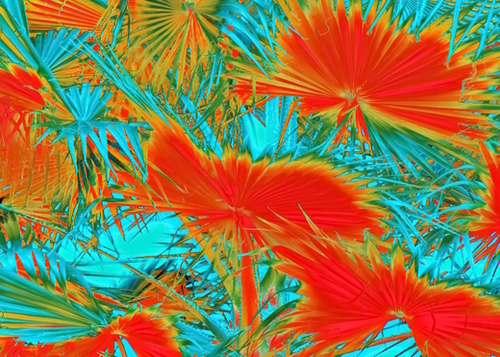 closeup palm leaf texture abstract background in orange blue green Mural by Timmy333