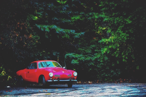 red classic car in the forest with green tree background Mural by Timmy333