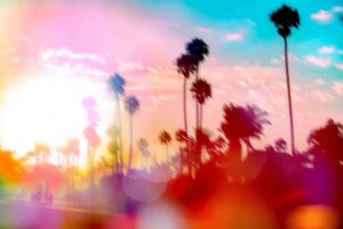 palm tree with sunset sky and light bokeh abstract background Mural by Timmy333