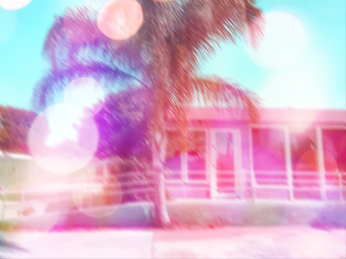 palm tree in the city with colorful bokeh light abstract  Mural by Timmy333