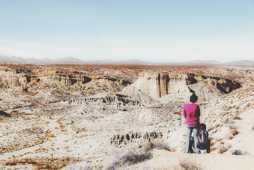 enjoy desert view in summer at Red Rock Canyon, California, USA Mural by Timmy333