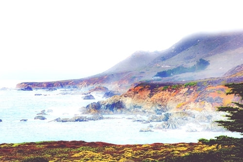 at Big Sur, Highway 1, California, USA in foggy day Mural by Timmy333